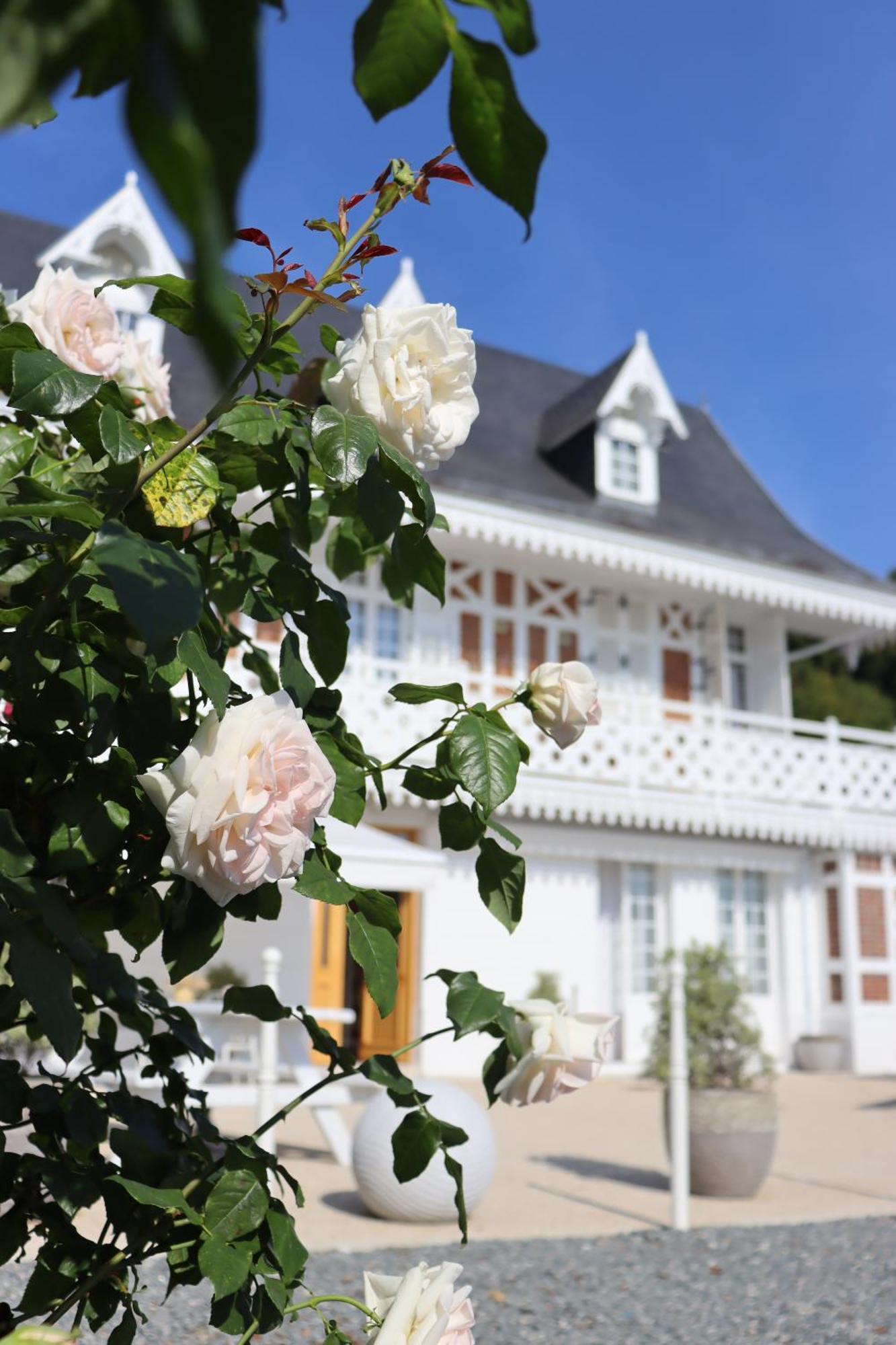 White House, Maison D'Hotes Villequier Exterior foto